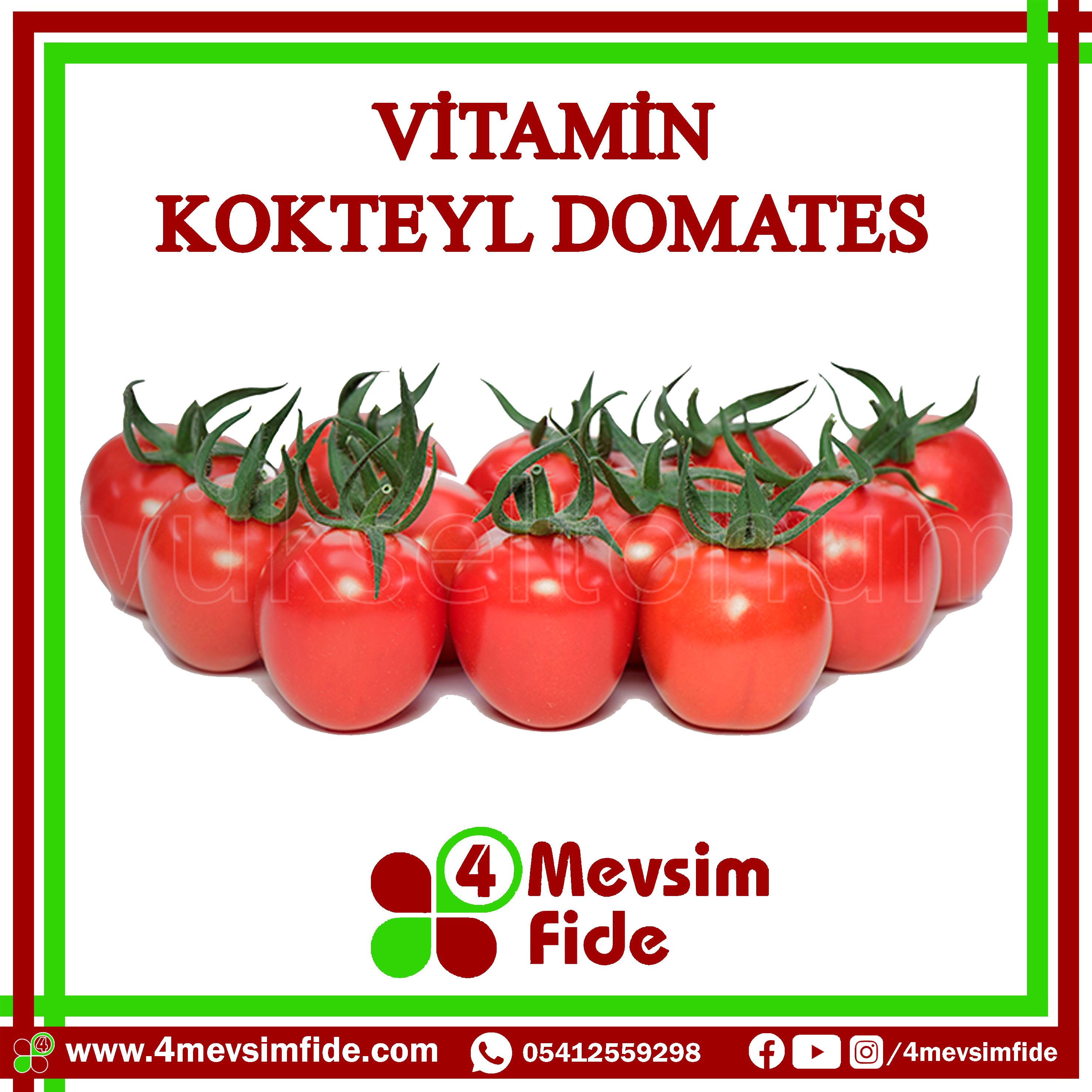 Vitamin F1 Kokteyl Domates